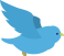 Blue bird animation